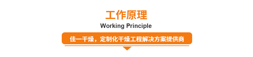 8941567578537697.jpg 詳情頁3_03.jpg